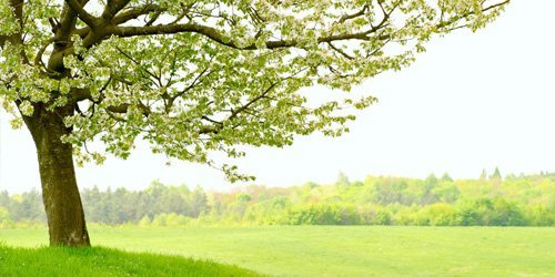 fears-and-phobias-content-1 fears-and-phobias